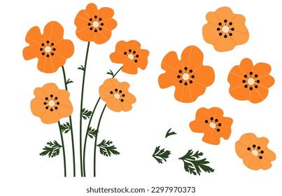 fondo de flores de amapola.Eps 10 vector.