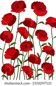 fondo de flores de amapola.Eps 10 vector.