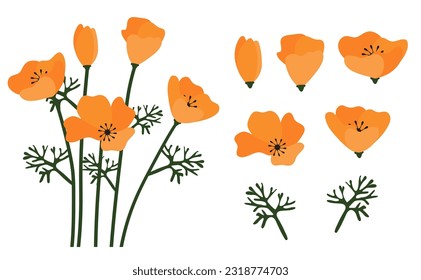 poppy flowers background.Eps 10 vector.