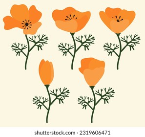 fondo de flores de amapola.Eps 10 vector.