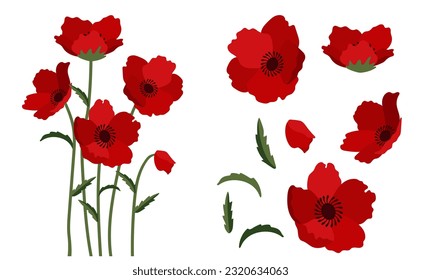 poppy flowers background.Eps 10 vector.