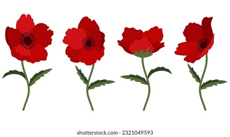 poppy flowers background.Eps 10 vector.