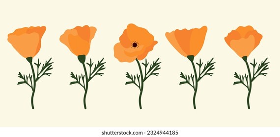 poppy flowers background.Eps 10 vector.