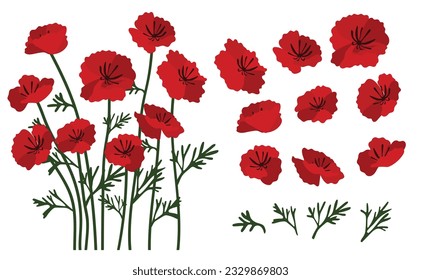 fondo de flores de amapola.Eps 10 vector.