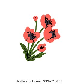 Poppy flowers with blossomed red petals, stems, leaves. Summer floral plant, blooms with black seeds. Pretty romantic botanical clipart. Flat vector illustration isolated on white background