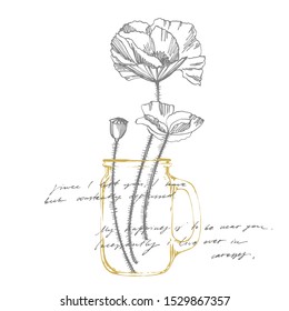 Poppy flowers. Botanical plant illustration. Vintage medicinal herbs sketch set of ink hand drawn medical herbs and plants sketch. Handwritten abstract text