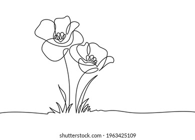 Poppy flowers in continuous line art drawing style  Doodle floral border and two flowers blooming among grass  Minimalist black linear design isolated white background  Vector illustration