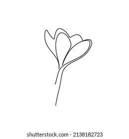 Poppy flowers in continuous line art drawing style. Doodle floral border with two flowers blooming among grass. Minimalist black linear design isolated on white background. Vector illustration