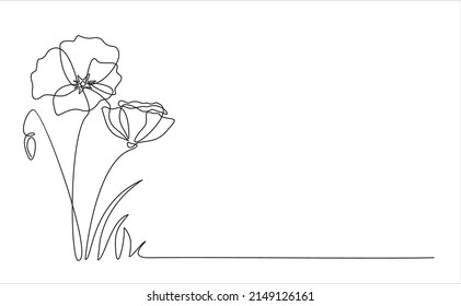 Poppy flowers in continuous line art drawing style. Minimalist black linear design isolated on white background. Vector illustration