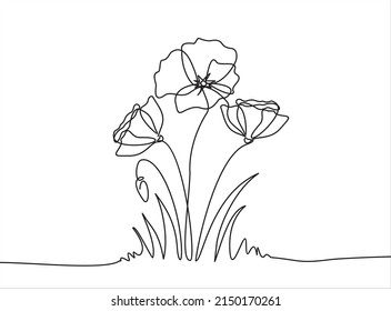 Flores de amapola con estilo de dibujo de líneas continuas. Diseño lineal negro minimalista aislado sobre fondo blanco. Ilustración del vector