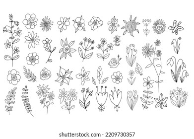 Poppy flowers in continuous line art drawing style. Minimalist black linear design isolated on white background.