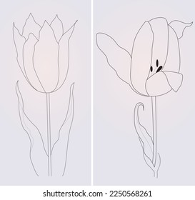 Poppy flowers in continuous line art drawing style. Doodle floral border with two flowers blooming among grass. Minimalist black linear design isolated on white background. Vector illustration.