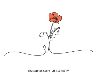 Poppy flowers continuous one line art drawing style. Minimalist black linear design isolated on white background. Vector illustration