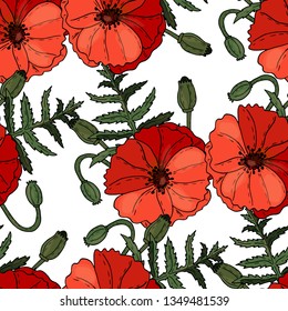 Poppy flowers floral seamless background isolated on the white. Vector artwork. Botanical design with red poppies. 