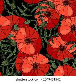 Poppy flowers floral seamless background isolated on the black. Vector artwork. Botanical design with red poppies. 