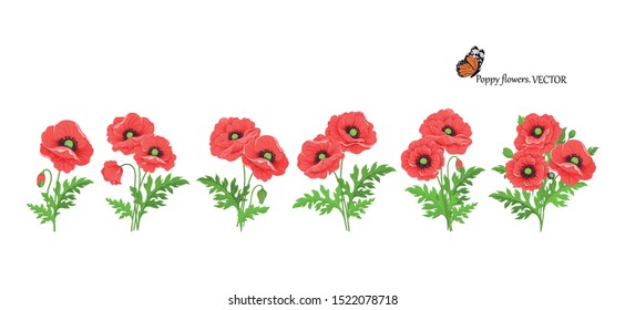 Poppy flowers. Floral set of five poppy bouquets with stem buds and leaves. Watercolor pattern for floral and wedding decoration seasonal sales design banners template posters greeting cards.Vector