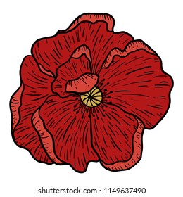 Poppy flowers hand drawn. Can be used in design purpose. illustration, vector - stock.