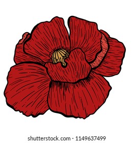 Poppy flowers hand drawn. Can be used in design purpose. illustration, vector - stock.