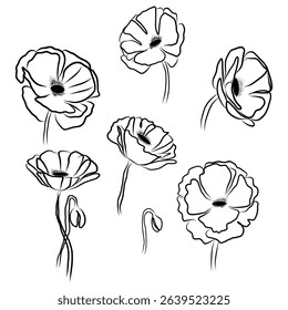 Poppy flowers icon. Bloom plant symbol. Black outline art. Vector poppy illustration.