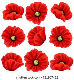 Poppy flowers icons set. Vector isolated botanical symbols of blooming red poppies blossoms. Floral bouquets or springtime flourish flowery bunches design for decor or holiday greetings template