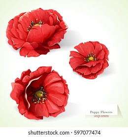 Poppy flowers. Illustration of three poppy buds. Watercolor. Hand drawn. Vector - stock.