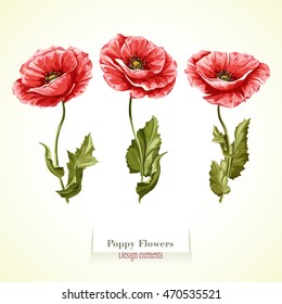 Poppy flowers illustration. Watercolor. Hand drawn. Set of three poppy flowers. Vector  -stock.