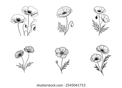 Poppy Flowers Image Vector Art Line Work