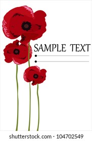 Poppy flowers isolated on white background