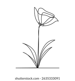 Poppy Flowers in Minimal Continues One Line Art Drawing