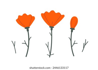 Poppy flowers on white background. Red flowers set. Floral vector flat illustration.	