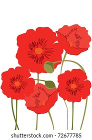 the poppy flowers for pattern