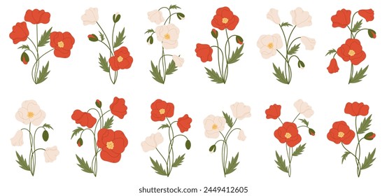 Poppy flowers. Red poppy flower  illustration vector collection. Meadow wild blossom set. Green buds and leaves