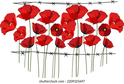 Poppy flowers with spikes fence illustration