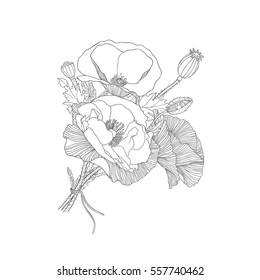 Poppy flowers vector bouquet. Linear illustration black on white