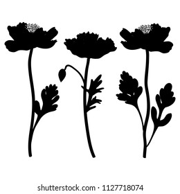 Poppy flowers vector hand drawn illustration isolated on white background, decorative black silhouette, floral design set for greeting card, package cosmetic, wedding invitation, florist shop