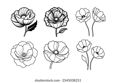 Poppy Flowers Vector Line Art Work Image