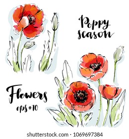 Poppy flowers vector set drawn in watercolor style for summer card design