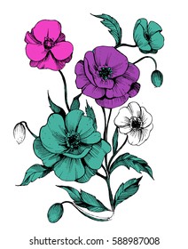 Poppy flowers. Vector sketch. 