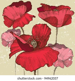 poppy flowers in vintage style