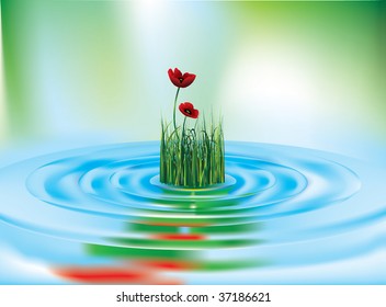 poppy and grass reflecting in the water