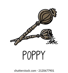 Elemento de estilo de doodle dibujado a mano. Plantilla de diseño de empaquetado de logotipos y emblemas - especias - cajas de amapola. Logotipo en un estilo lineal de moda.