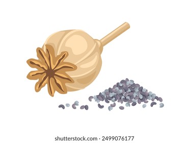 Cabeza de amapola y semillas aisladas sobre fondo blanco. Condimento culinario. Vector ilustración de dibujos animados.