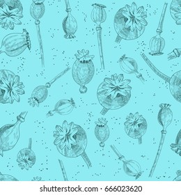 Poppy heads seamless pattern. Hand drawn poppy heads on blue background.