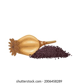 Poppy heads and seeds. Aromatic seasoning ingredient. Isolated vector illustration in cartoon style.