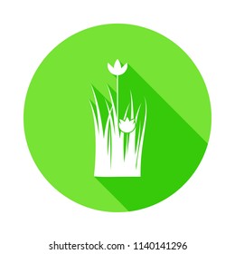 poppy icon in Flat long shadow style on white background