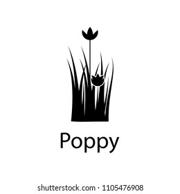 poppy illustration. Element of plant icon for mobile concept and web apps. Detailed poppy illustration can be used for web and mobile on white background