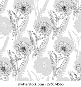 poppy isolated on white background. Vector illustration. Floral seamless texture.Sketch