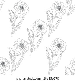 poppy isolated on white background. Vector illustration. Floral seamless texture.Sketch