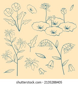 Poppy Lotus Lily Tiger Flower Floral Leaf Outline Decoration Element