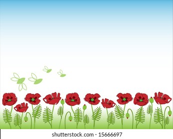Poppy meadow